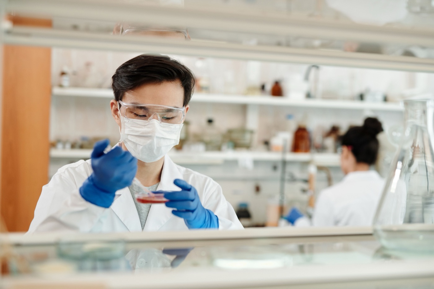 Laboratory technician examining a sample in a petri dish